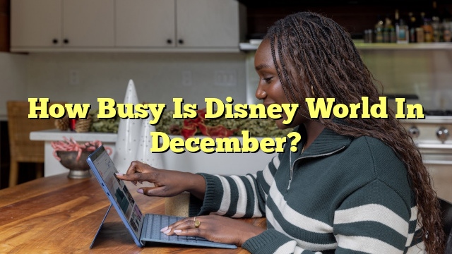 How Busy Is Disney World In December?