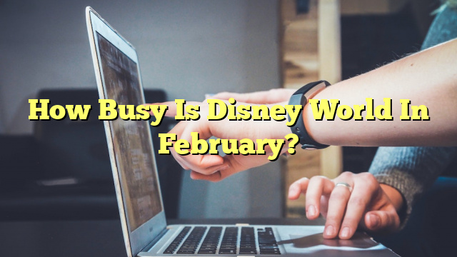 How Busy Is Disney World In February?