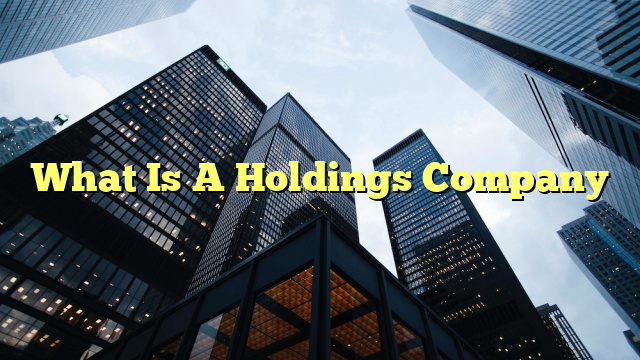 What Is A Holdings Company